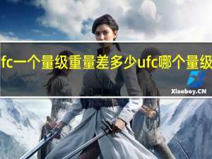 ufc一个量级重量差多少 ufc哪个量级最难打