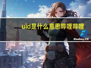 uid是什么意思哔哩哔哩（uid是什么意思）