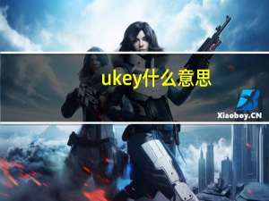 ukey什么意思