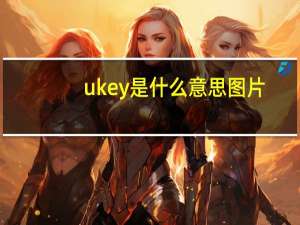 ukey是什么意思图片（ukey是什么意思）