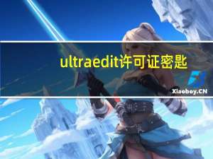 ultraedit许可证密匙（ultraedit许可证id和密码）