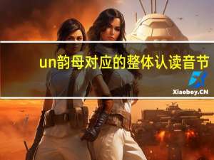 un韵母对应的整体认读音节