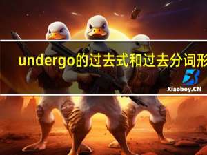undergo的过去式和过去分词形式