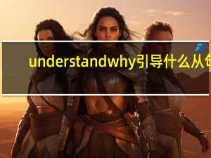 understand why引导什么从句