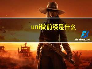 uni做前缀是什么