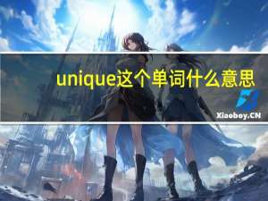 unique这个单词什么意思