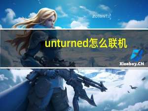 unturned怎么联机（unturned怎么和好友联机）