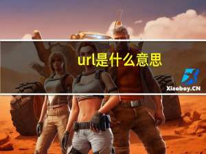 url是什么意思