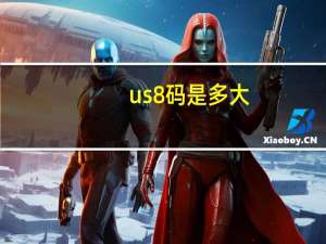 us8码是多大