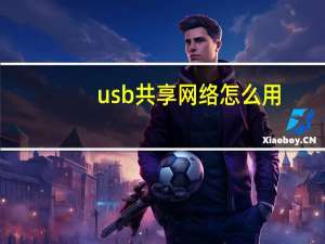 usb共享网络怎么用（usb共享网络）