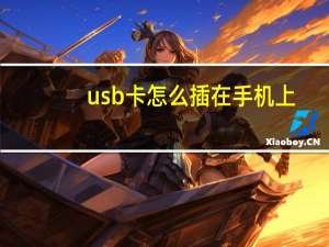 usb卡怎么插在手机上（usb卡）
