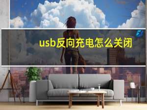 usb反向充电怎么关闭