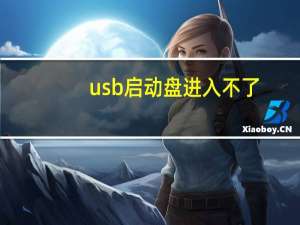 usb启动盘进入不了（usb启动）