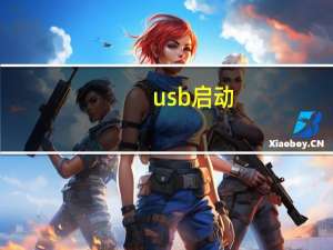 usb 启动（usb 启动）