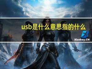 usb是什么意思指的什么（usb是什么意思）