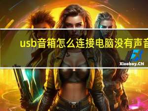 usb音箱怎么连接电脑没有声音（usb音箱）