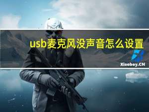 usb麦克风没声音怎么设置（麦克风没有声音怎么设置）