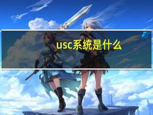 usc系统是什么