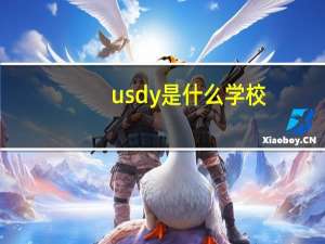 usdy是什么学校