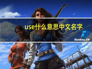 use什么意思中文名字