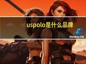 uspolo是什么品牌