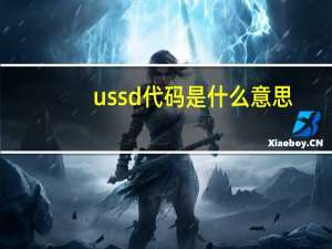 ussd代码是什么意思（ussd代码是什么）
