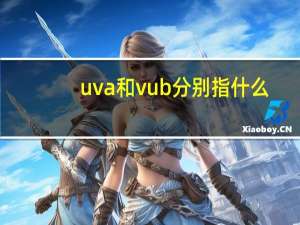 uva和vub分别指什么