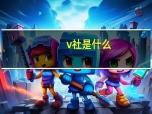 v社是什么