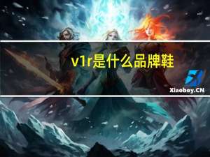 v1r是什么品牌鞋