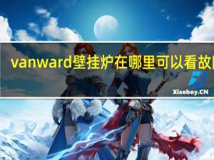 vanward壁挂炉在哪里可以看故障码（vanward）