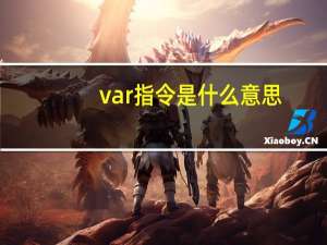 var指令是什么意思