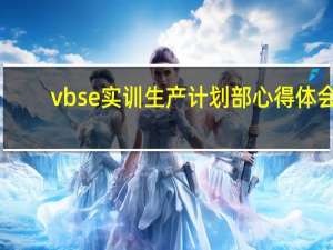 vbse实训生产计划部心得体会