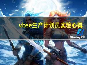 vbse生产计划员实验心得