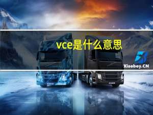 vce是什么意思（vce）