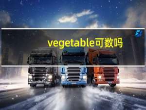 vegetable可数吗