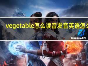 vegetable怎么读音发音英语怎么读
