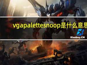 vga palette snoop是什么意思