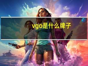 vgo是什么牌子