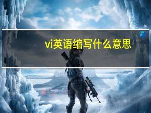 vi英语缩写什么意思