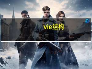 vie结构