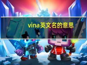 vina英文名的意思