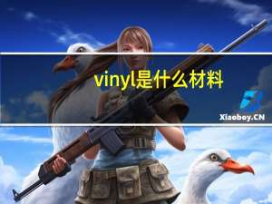 vinyl是什么材料