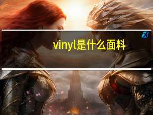 vinyl是什么面料（vinyl是什么材料）