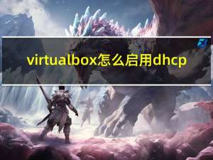virtualbox怎么启用dhcp（virtualbox怎么用）