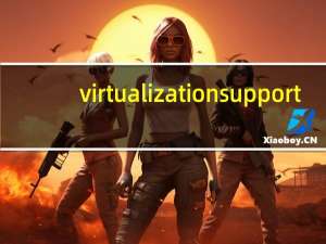 virtualization support（virtualization）