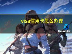 visa信用卡怎么办理