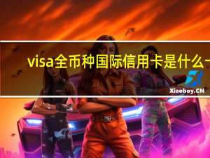 visa全币种国际信用卡是什么卡（visa信用卡是什么类型的卡）