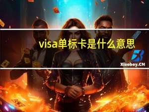 visa单标卡是什么意思