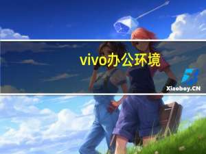 vivo办公环境
