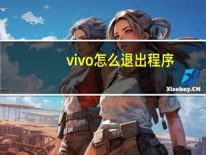 vivo怎么退出程序